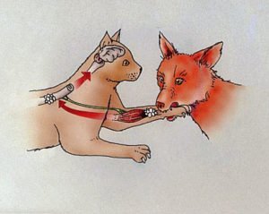бешенство у кошки